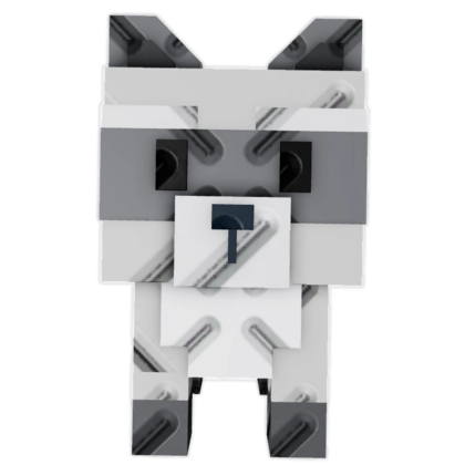 Raccoon