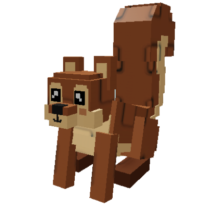 Squirrel