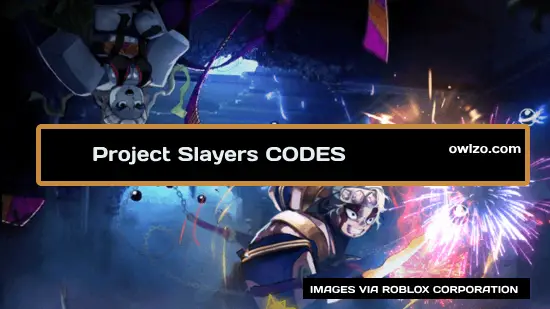 Project Slayers codes